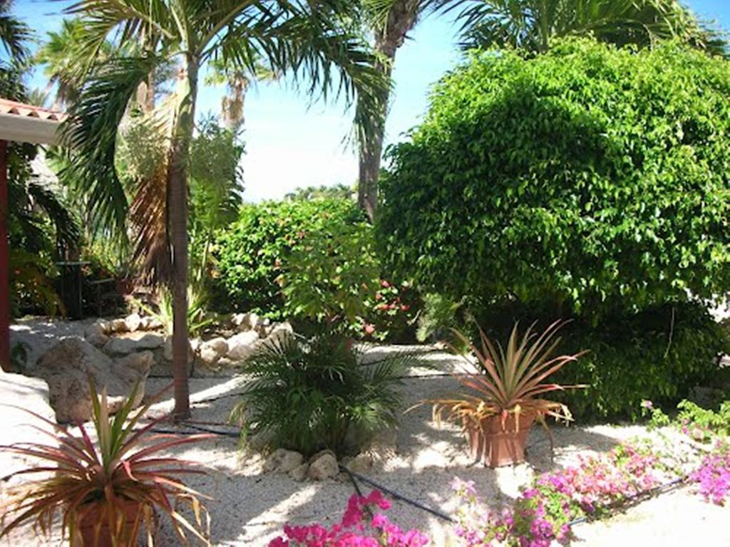 Seru Coral Resort Studio 16 Willemstad Dış mekan fotoğraf